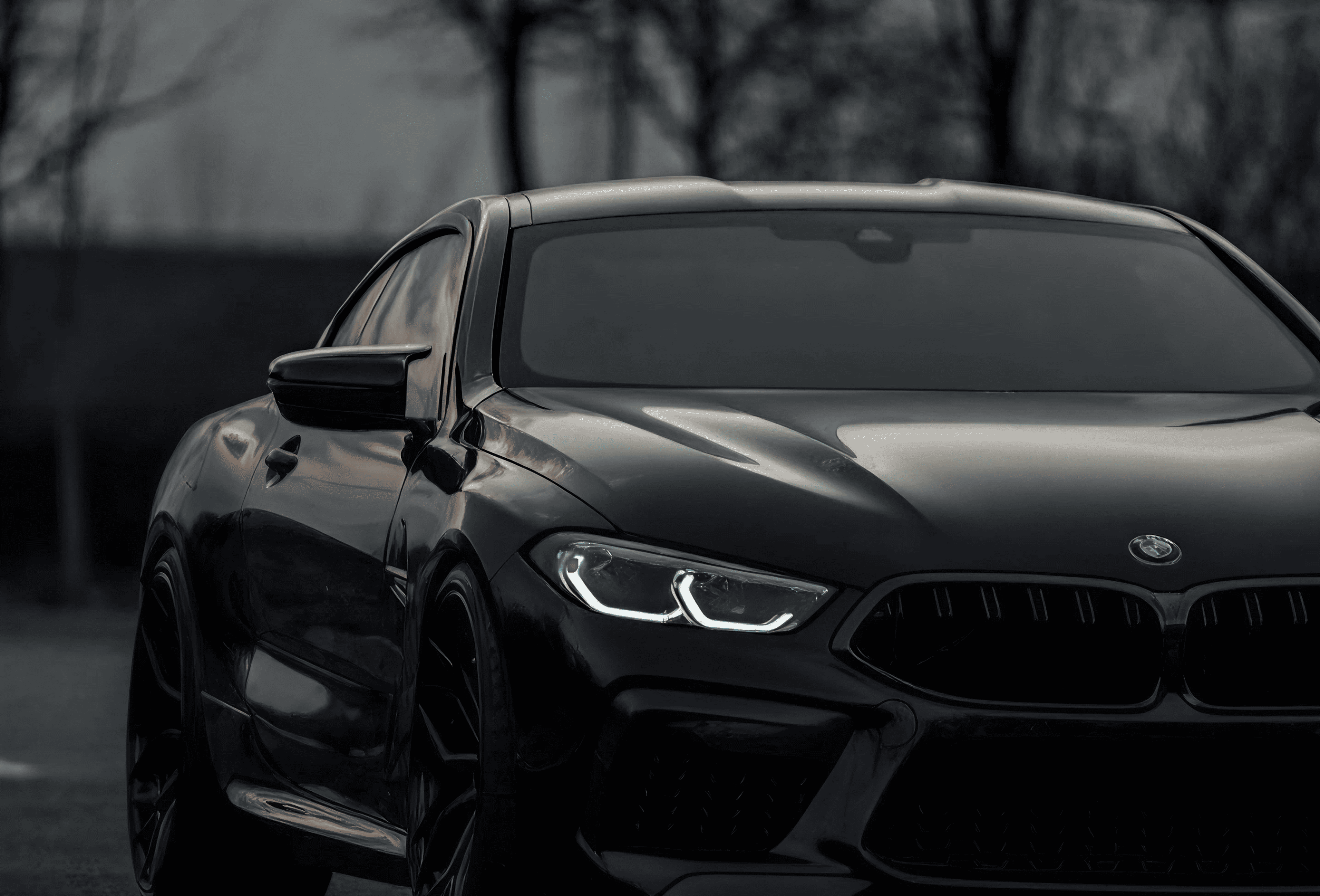 header-bg